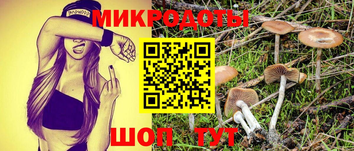 Псилоцибиновые грибы мицелий Пыть-Ях